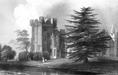 Faulkbourne Hall, lähellä Withamia, Essex, kaiverrus Henry Wallis, 1832