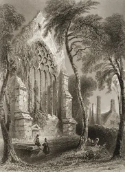Youghal Abbey, Corkin kreivikunta, Irlanti, George Virtuen teoksesta "Scenery and Antiquities of Ireland", 1860-luku