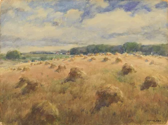 Marylandin vehnäpellot