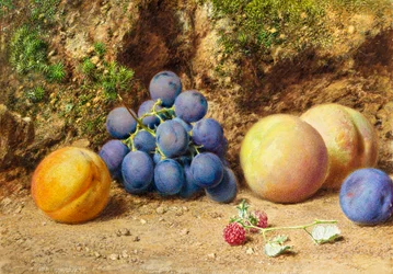 Mustat viinirypäleet, persikat, aprikoosit ja vadelmat, n. 1860