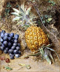 Rypäleet ja ananas (guassi paperille)