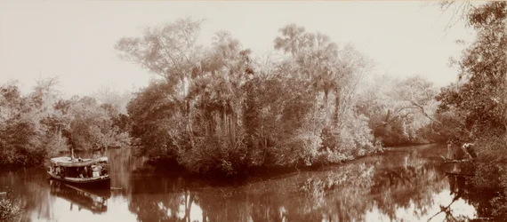 Tomoka-joella lähellä Ormondia, Floridassa