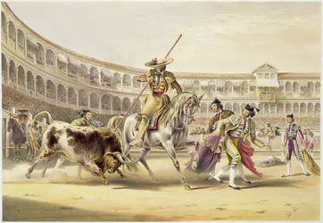 Bull lataa Picadoria, 1865