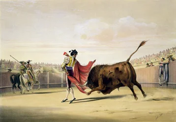 Viitan onni, 1865