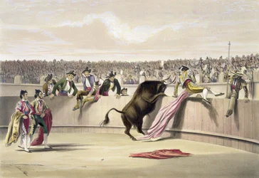 Härkä hyppää estettä, 1865