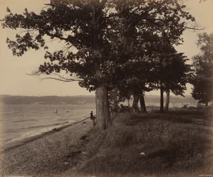 Cayuga Lake, Sheldrake,c. 1895 (kuva)