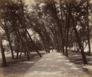Picnic Grounds,c. 1895 (kuva)
