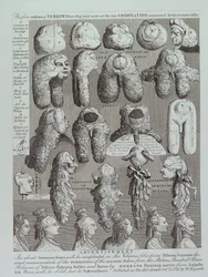 Peruukien mainos