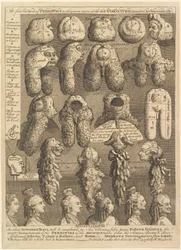 Periwigin viisi ritarikuntaa, 1761.