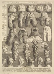 Periwigin viisi ritarikuntaa, 1761.