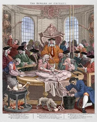 Julmuuden palkinto, anatomian oppitunti vuonna 1750, Hogarth (kaiverrus).