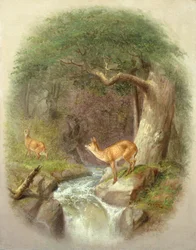 Varovainen ylitys