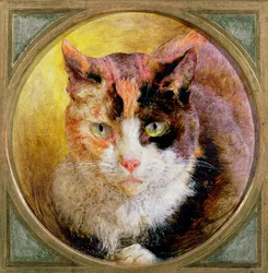 Päätutkimus kilpikonnankuorikissasta, 1866