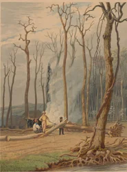 Kevät – polttavat kaatuneet puut vyörytetyllä aukiolla. Läntinen kohtaus, 1841.