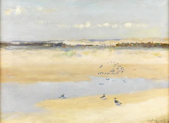 Lapwings meren rannalla