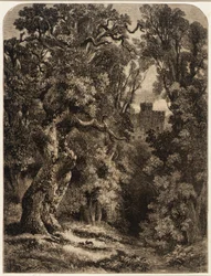 Maisema