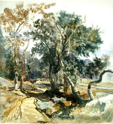 Woodland Track (kynä ja akvarelli paperille)
