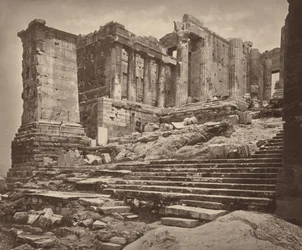 Propylaea lounaasta,1882 (kuva)
