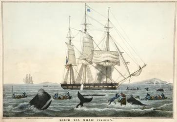 South Sea Whale Fishery, pub. 1825 (väriitografia)