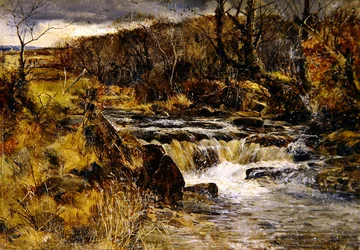 Trout Stream Walesissa