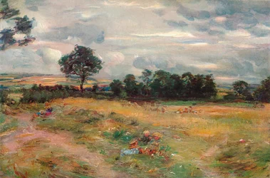 Sadonkorjuu Broomieknowessa, 1896