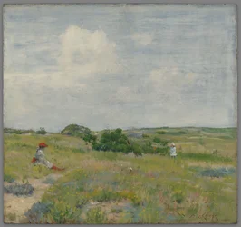 Shinnecock Hills