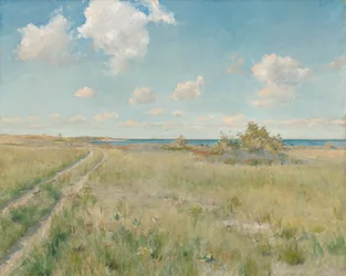 Vanha tie merelle, n. 1893.