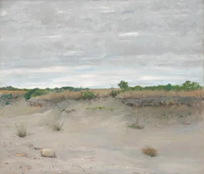 Tuulen pyytämä hiekka, 1894.