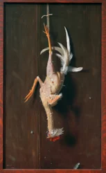 Puhtaasti kynitty