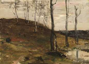 Rinne ja puita, 187278.