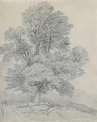 Vuorijalava Hawleyssa, Hampshiressa