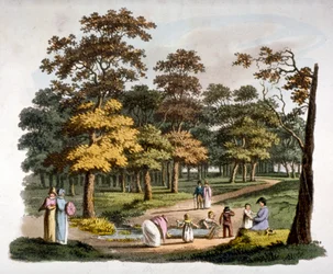 Näkymä "kastokaivolle" Hyde Parkissa, Westminsterissä, Lontoossa, c1810