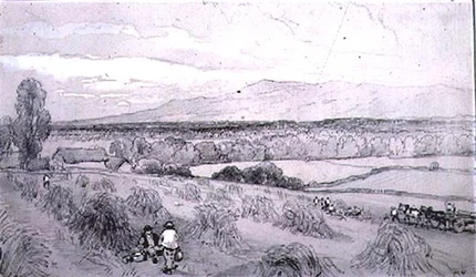 Sadonkorjuukohtaus