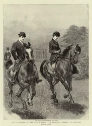 Duc D