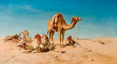 Pysähdys erämaassa, 1867