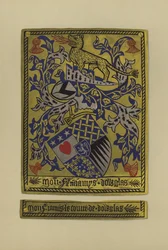 Sir James Douglas, Douglasin ja Avondalen kreivi, 1461-1488 (chromolitho)