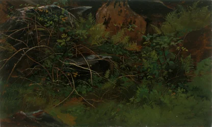 Tutkimus luonnosta.