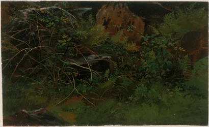 Luonnontutkielma