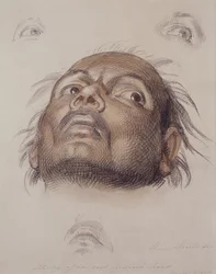 Tutkimus itä-intiaanien päästä, n. 1875 (kynä ja pesuaine paperille)