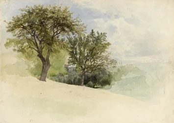 Maisema puiden kanssa rinteessä, 1880-85 (wc, grafiittia ja valkoista guassia kermanvärisellä kudospaperilla)