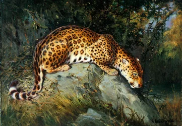 Leopardi hiipivänä kivellä (öljy kankaalle asetettuna alukselle)