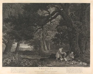 Ammunta, levy IV