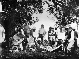 Tiikerin nylkeminen, noin 1870-luku