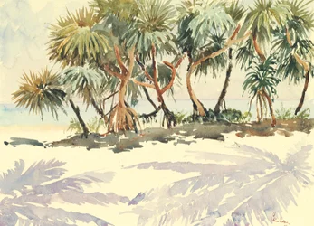 735 olkipuut, Bentota