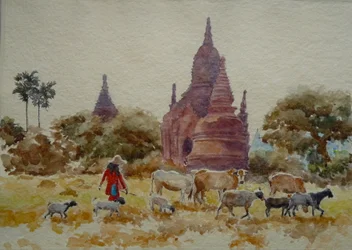901 Bagan, paimentamassa temppelien keskuudessa