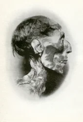 Rameses II:n, 19. dynastian muinaisen Egyptin faaraon, muumion pää, n. 1212 eKr. 1926.