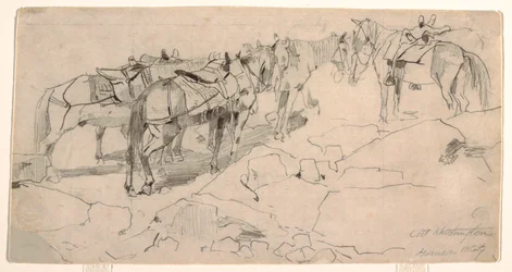 Piirros, luonnos "Mount Washington" ja "The Summit of Mount Washington", 1869.