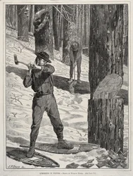Puunkorjuu talvella, 1871.