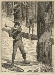 Puuhastelua talvella, alkaen Joka lauantai: A Journal of Choice Reading, 28. tammikuuta 1871.
