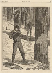 Puutavaraa talvella alkaen joka lauantai, 28. tammikuuta 1871